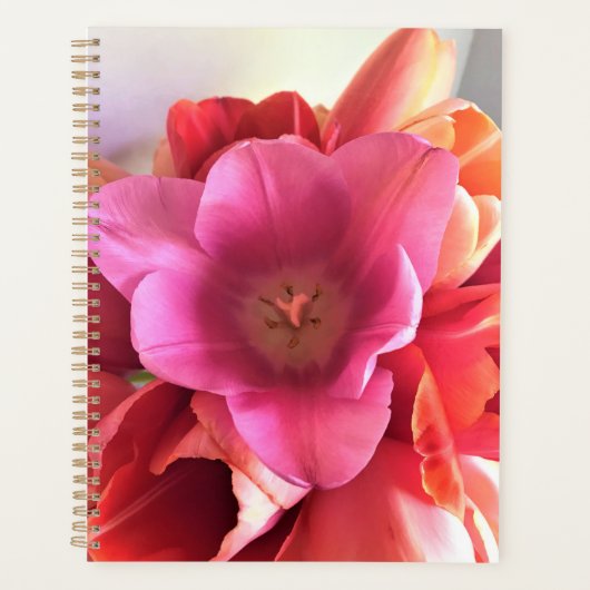 Innen einer rosa Tulip Planer (Vorderseite)