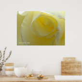 Innen einer weißen Rose Poster (Küche)