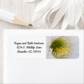 Innen eines weißen Kaktus in Blüte (Insitu)