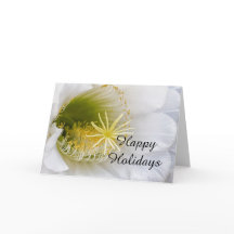 Innen eines weißen Kaktus in Blüte