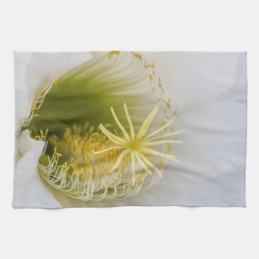 Innen eines weißen Kaktus in Blüte Handtuch (Horizontal)