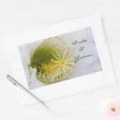 Innen eines weißen Kaktus in Blüte Rechteckiger Aufkleber (Umschlag)