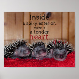 Innen ist ein zitternes Äußeres mit einem zarten H Poster