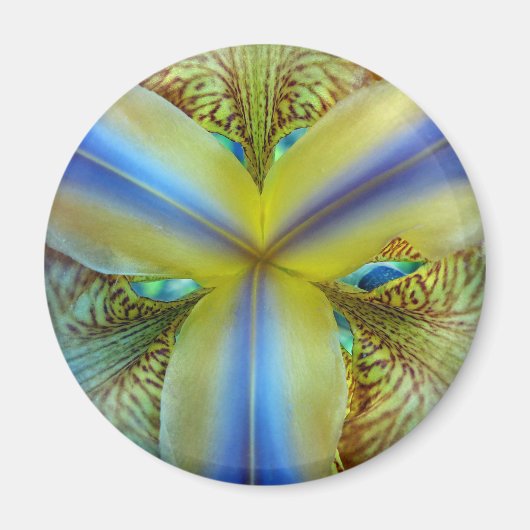 Innen von Iris Magnet (Vorne)