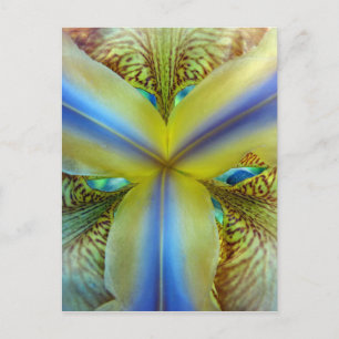 Innen von Iris Postkarte