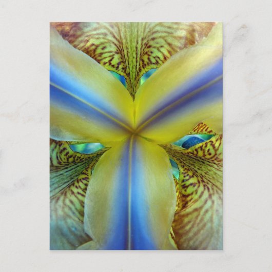 Innen von Iris Postkarte (Vorderseite)