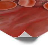 Innenansicht der Arterie mit roten Blutkörperchen Poster (Ecke)