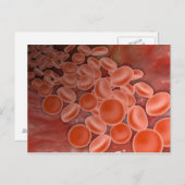Innenansicht der Arterie mit roten Blutkörperchen Postkarte (Vorne/Hinten)