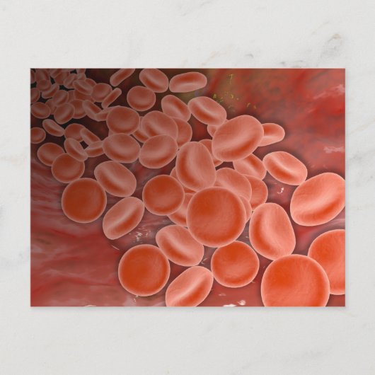 Innenansicht der Arterie mit roten Blutkörperchen Postkarte (Vorderseite)
