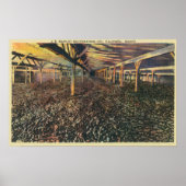 Innenansicht des JR Simplot Dehydrating Co Poster (Vorne)