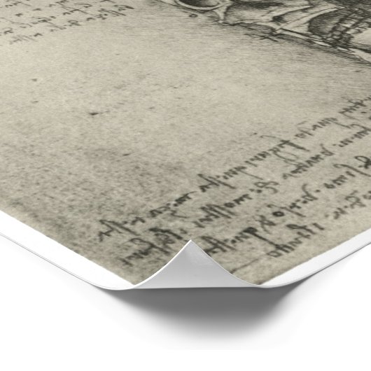 Innenansicht des Schädels, Leonardo da Vinci Poster (Ecke)
