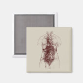 Innenkörper Magnet (Vorderseite/Rückseite)