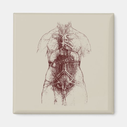 Innenkörper Magnet (Vorne)