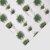 Innenoase | Aktionskörbe Seidenpapier (Ausschnitt)