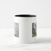 Innenraum eines Urwaldes in den Amazonas Tasse (Zentrum)