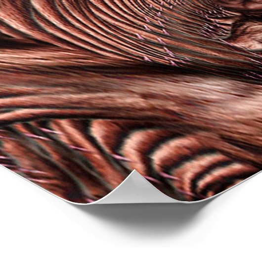 Innenseite Poster (Ecke)