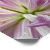 Innenseite Poster (Ecke)