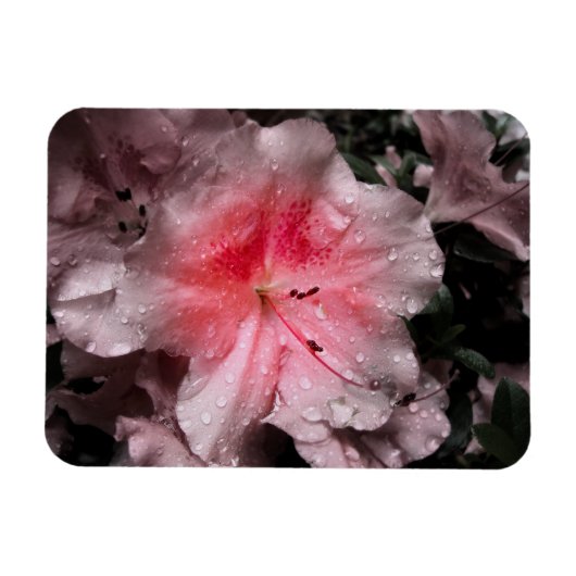 Inner Glow Flexibles Magnet (Horizontal)