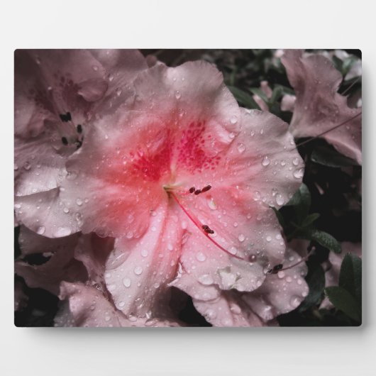 Inner Glow Foto Plaque Fotoplatte (Vorderseite)