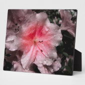 Inner Glow Foto Plaque Fotoplatte (Seite)