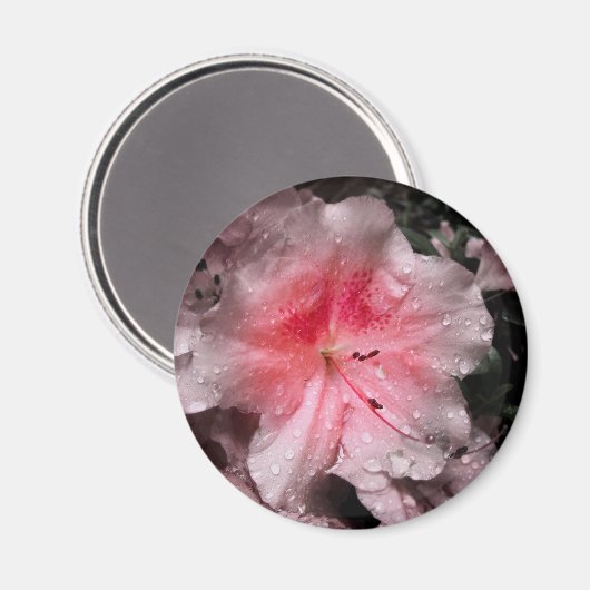 Inner Glow Magnet (Vorderseite/Rückseite)