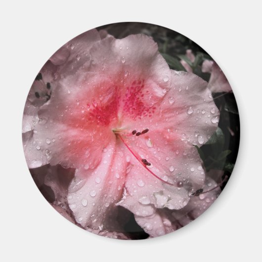 Inner Glow Magnet (Vorne)