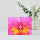 Innere Beauty Postkarte (Stehend Vorderseite)