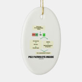 Innere der Bahn-P53 (Zellen-Molekularbiologie) Keramik Ornament (Rechts)