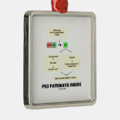Innere der Bahn-P53 (Zellen-Molekularbiologie) Ornament Aus Metall (Rechts)