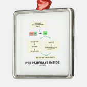 Innere der Bahn-P53 (Zellen-Molekularbiologie) Ornament Aus Metall (Links)
