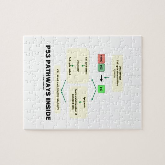 Innere der Bahn-P53 (Zellen-Molekularbiologie) Puzzle (Horizontal)