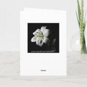 Innere der Lily Birthday Card Karte (Rückseite)