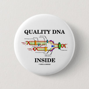 Innere der Qualitäts-DNS (DNS-Reproduktion) Button