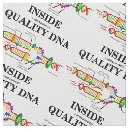Innere der Qualitäts-DNS (DNS-Reproduktion) Stoff
