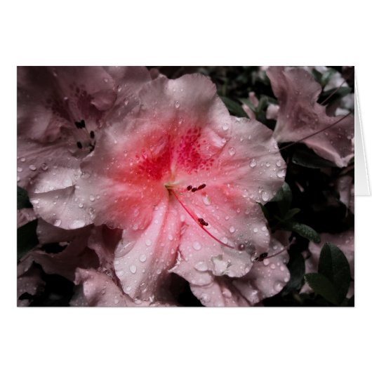 Innere Glow Card (Vorderseite (Horizontal))