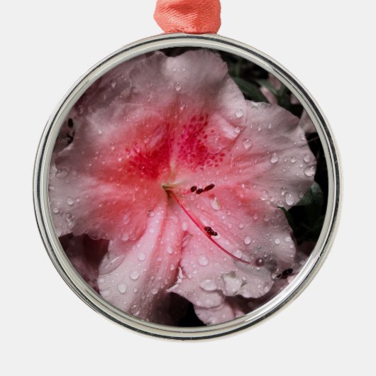 Innere Glow Ornament Aus Metall (Vorne)