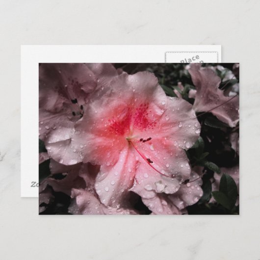 Innere Glow Postkarte (Vorne/Hinten)