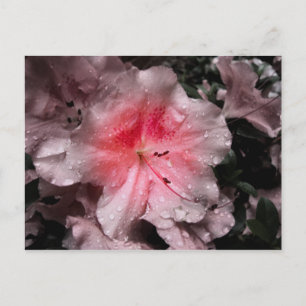 Innere Glow Postkarte