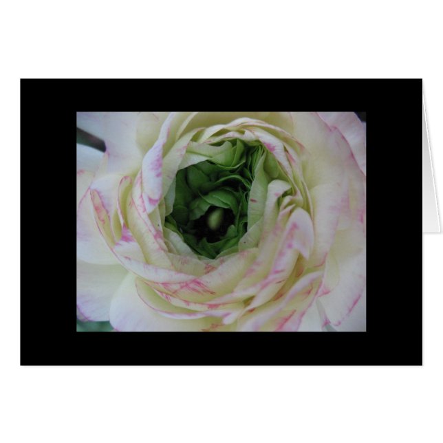 Innere Schönheit (Vorderseite (Horizontal))