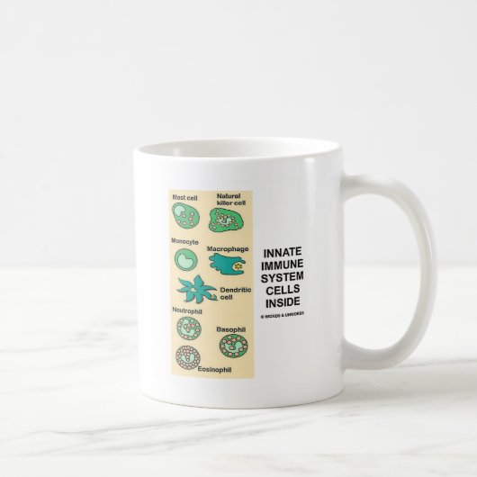 Innere Zellen des Immunsystems Kaffeetasse (Rechts)