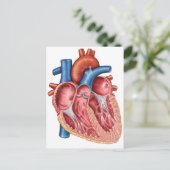 Inneres des menschlichen Herzens Postkarte (Stehend Vorderseite)