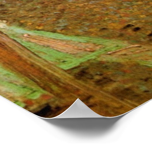 Inneres eines Restaurants von Vincent van Gogh Poster (Ecke)