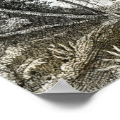 Inneres eines Urwaldes in den Amazonen Poster (Ecke)