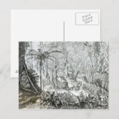 Inneres eines Urwaldes in den Amazonen Postkarte (Vorne/Hinten)