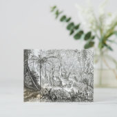 Inneres eines Urwaldes in den Amazonen Postkarte (Stehend Vorderseite)