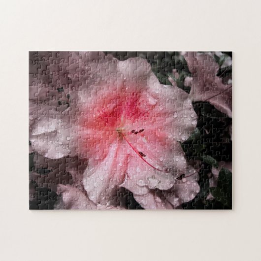 Inneres Glow Puzzle (Horizontal)