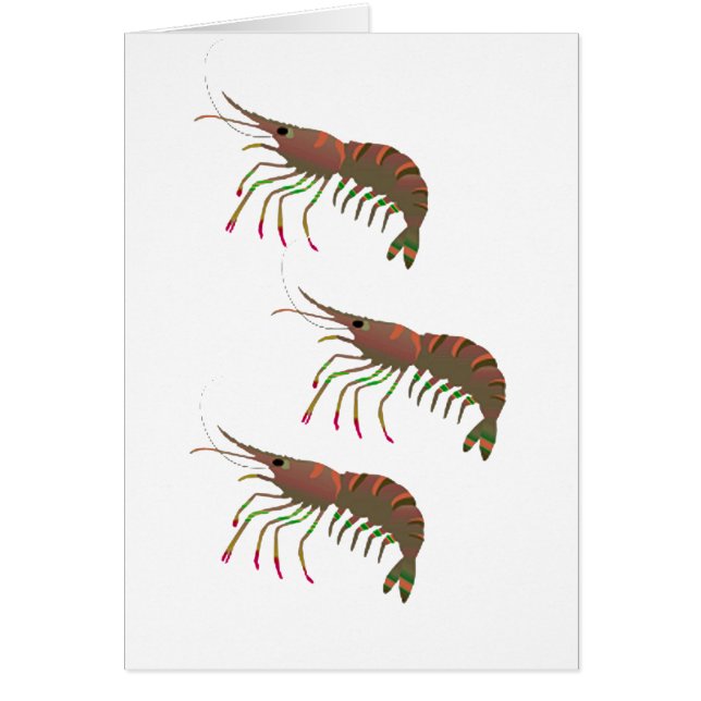 INNERHALB DER BUCHT (Vorne)