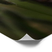 Innerhalb der Hay Poster (Ecke)