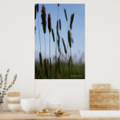 Innerhalb der Hay Poster (Küche)