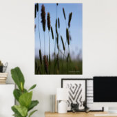 Innerhalb der Hay Poster (Heimbüro)